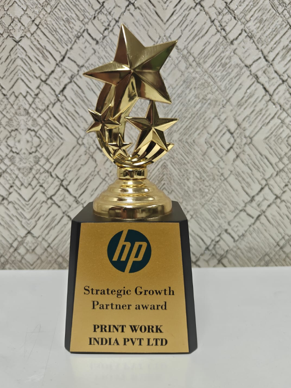 Excellence in IT Solutions Award